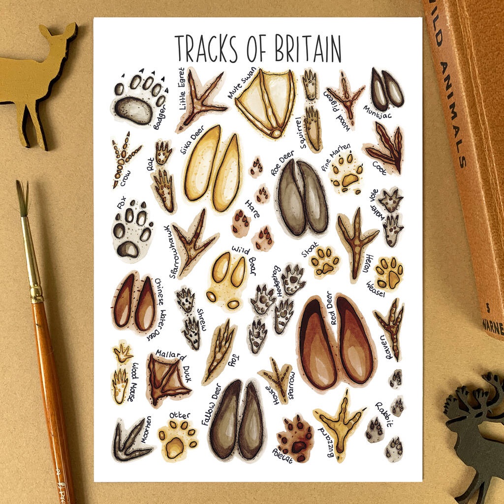 Tracks of Britain