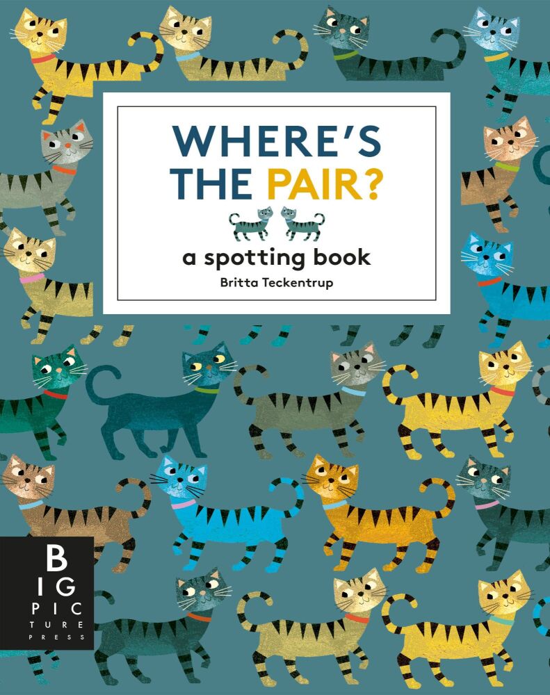 Where's the Pair: A Spotting Book.