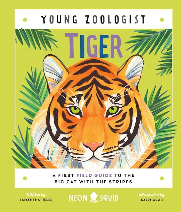 Tiger - Young Zoologist