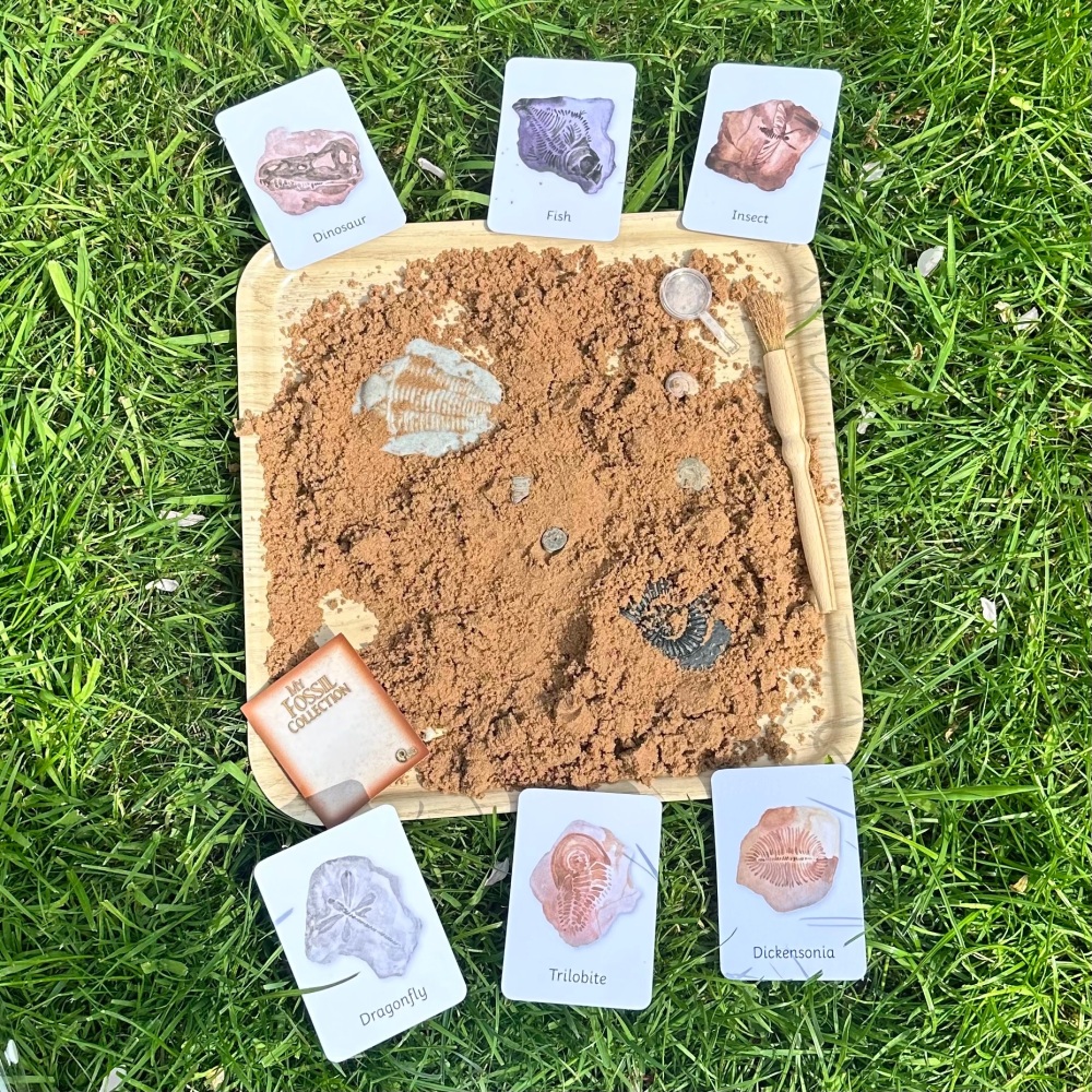 Fossil Dig Play Set
