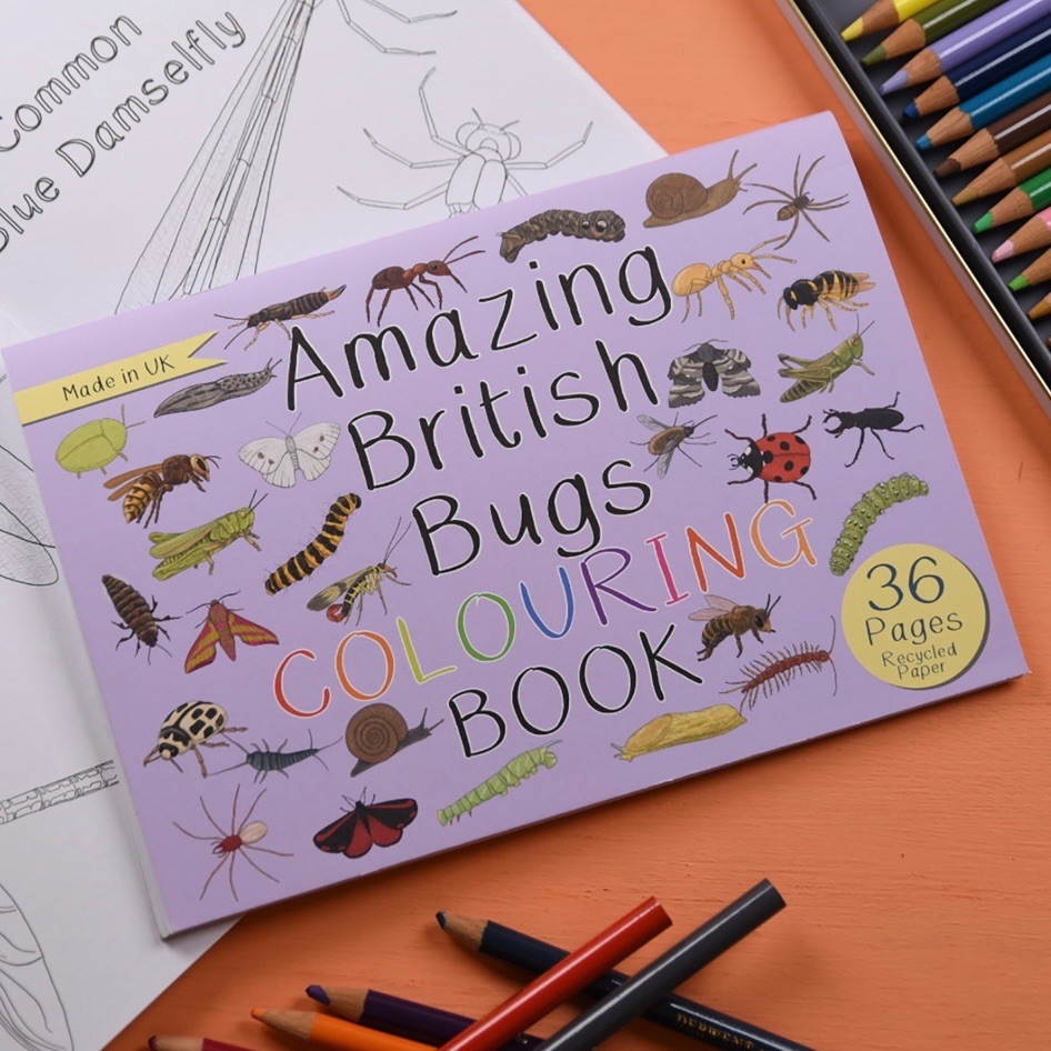 Amazing British Bugs Colouring In Book