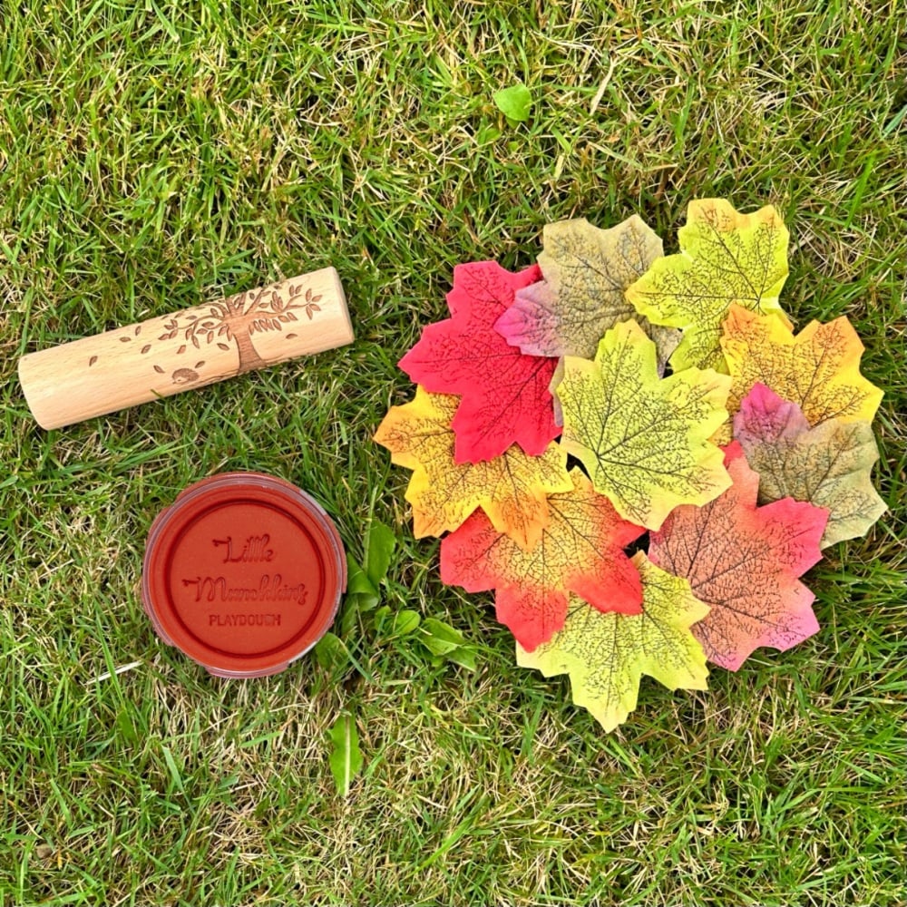 Autumn - Hedgehog Playdough Play Set