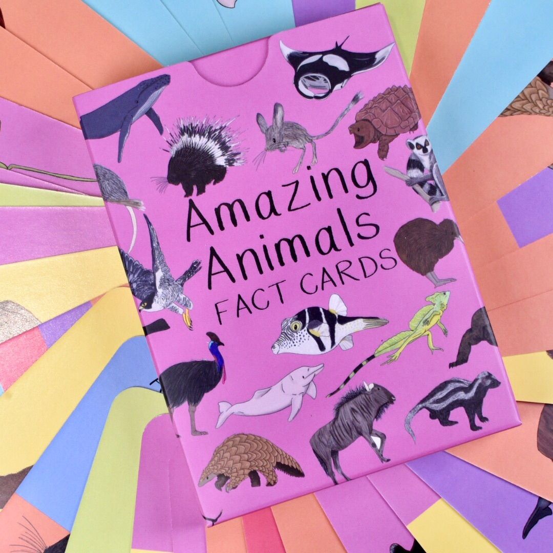 Amazing Animal Fact Cards Set 2