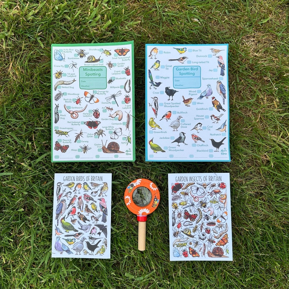 Nature Play Box - Mini