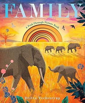 Family - A peek through picture book.