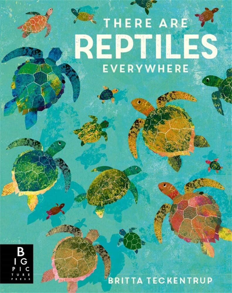There are Reptiles everywhere - Paperback