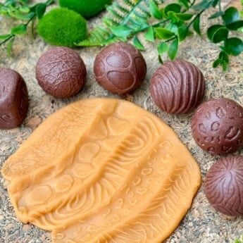 Roll Around - Wild Animals