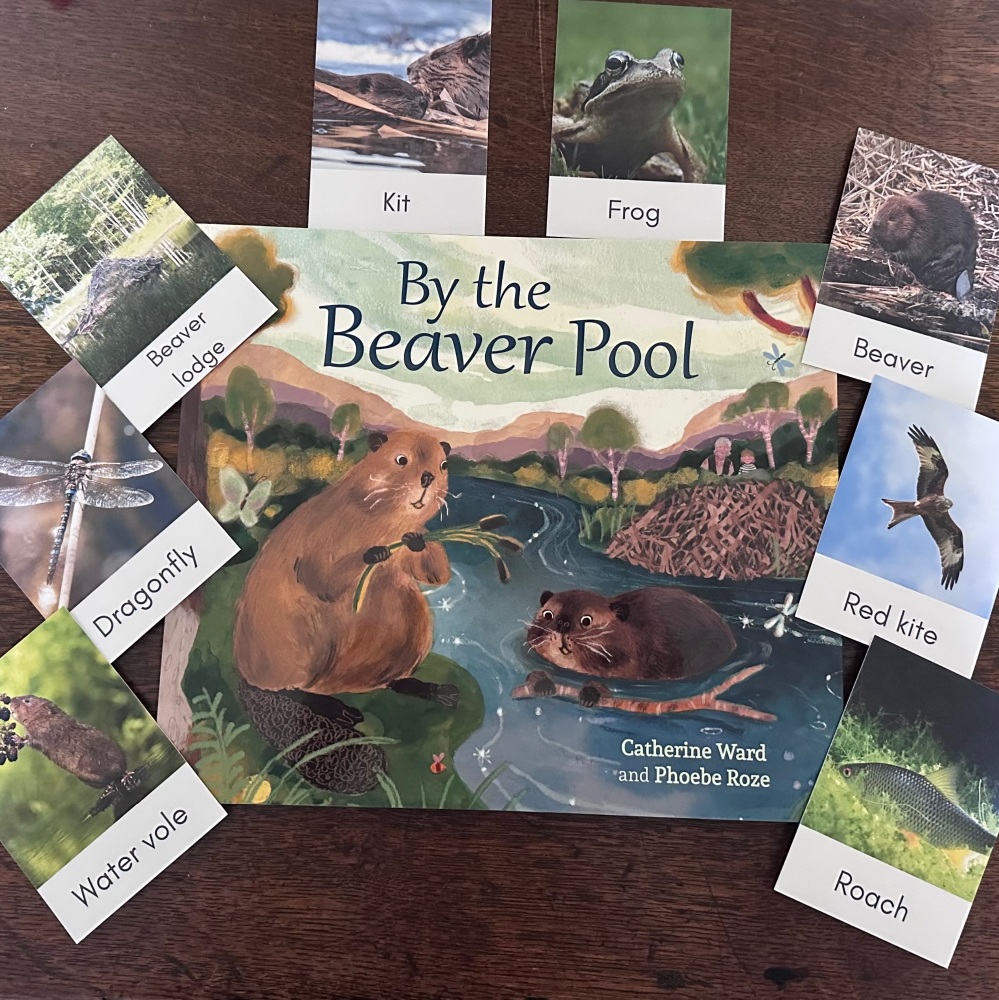 By the Beaver Pool - Book & Fact cards