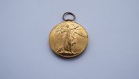 Casualty victory Medal to 14343 Pte W Troke Devon Regt