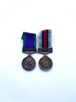Campaign pair to 25100480 Pte L J Wynn Worcestershire and Sherwood Foresters Regiment