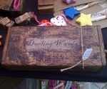 Magical cased dueling wands.