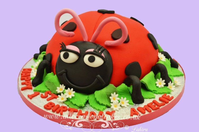 ladybug birthday cake
