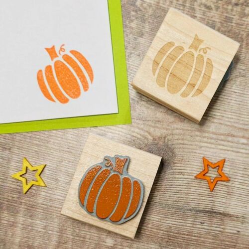 ****NEW FOR 2023**** Pumpkin Large Rubber Stamp
