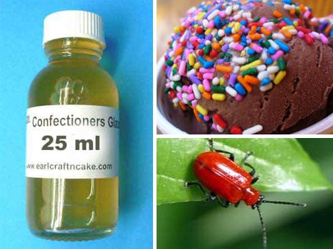 confectioners-resinous-glaze-lac-insect-beetle