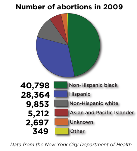 abortion-pie-chart-2.4