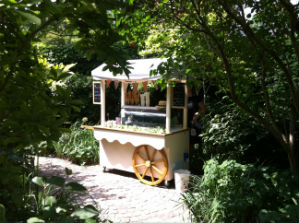 ice cream cart for hire