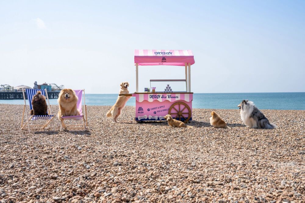 Ice Cream Cart Hire London Weddings & Corporate Events