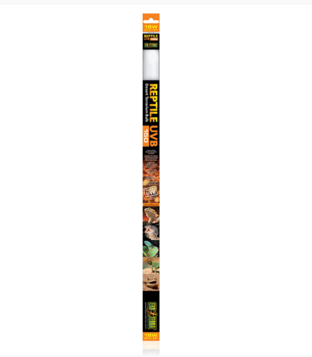 EXO TERRA 15