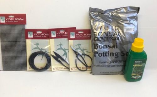 Bonsai beginner kit