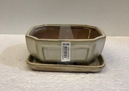 bonsai pot and tray white