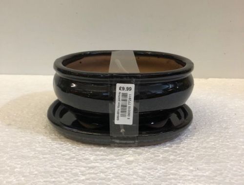 Bonsai pot and tray