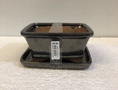 Bonsai pot and tray