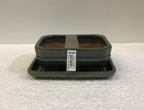 Bonsai pot and tray