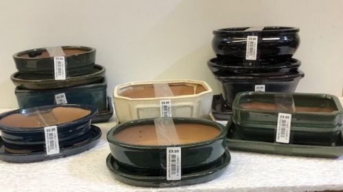 8 mixed bonsai pot and tray