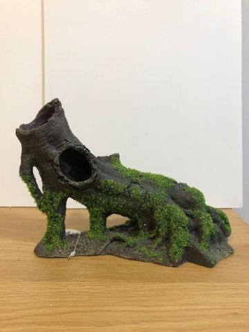 Tree stump with moss