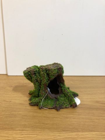 Small tree stump with moss