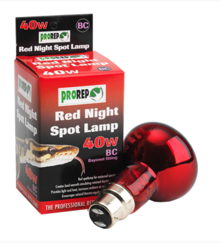 40W BC RED Heat Lamp