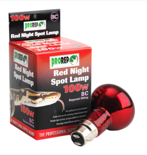 100W BC RED Heat Lamp