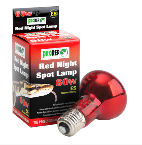 60W ES RED Heat Lamp