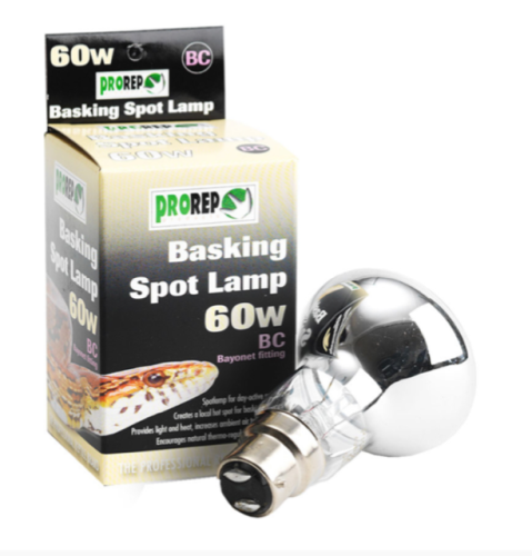 60W BC CLEAR Spot Lamp