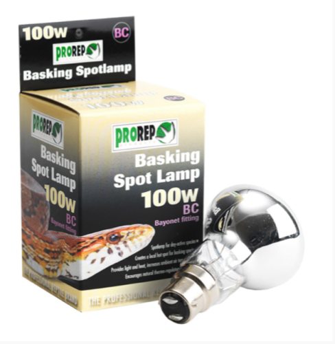 100W BC CLEAR Spot Lamp