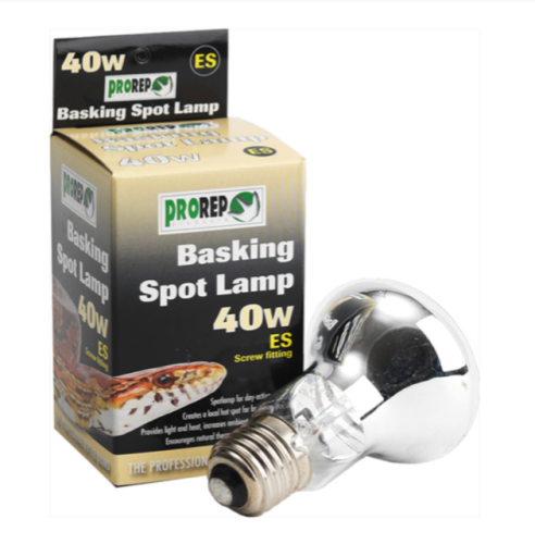 40W ES CLEAR Spot Lamp