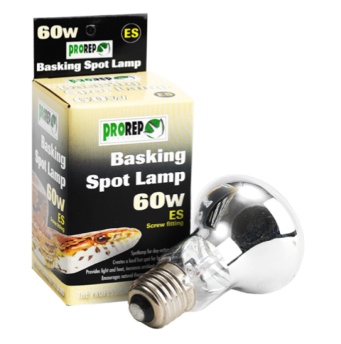 60W ES CLEAR Heat Lamp