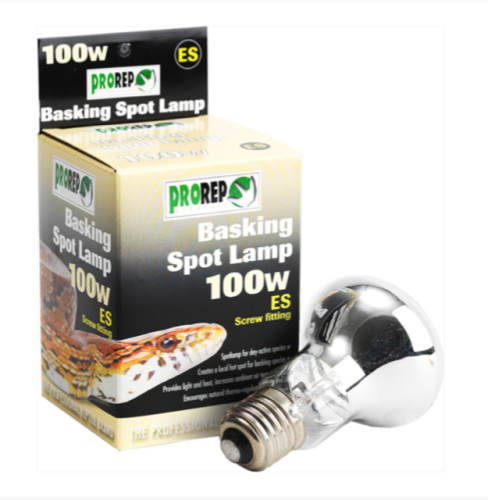 100W ES CLEAR Heat Lamp