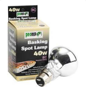 40W BC CLEAR Spot Lamp