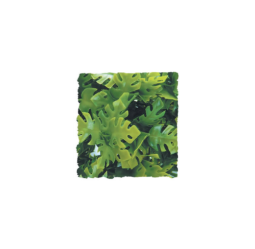<!--002-->Amazonian Phyllo MEDIUM