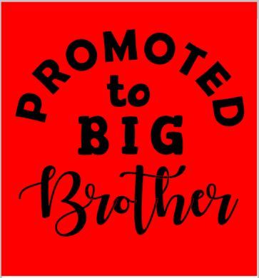 Promoted To Big brother/sister tshirt