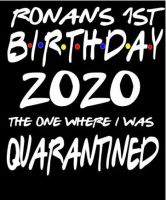 Quarantine Birthday  TShirt