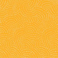 Dashwood Studio Twist Cotton Fabric Honey