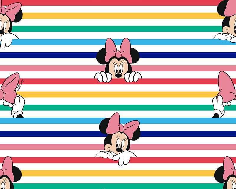 Little Johnny Disney Rainbow Minnie Mouse 