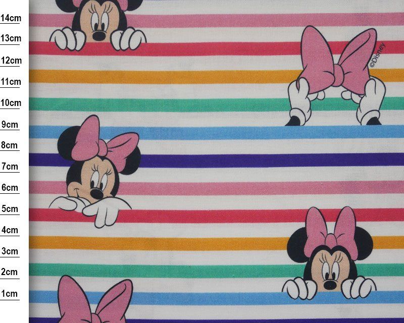Little Johnny Disney Rainbow Minnie Mouse 