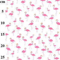 Cotton Poplin Fabric Flamingos On Ivory 