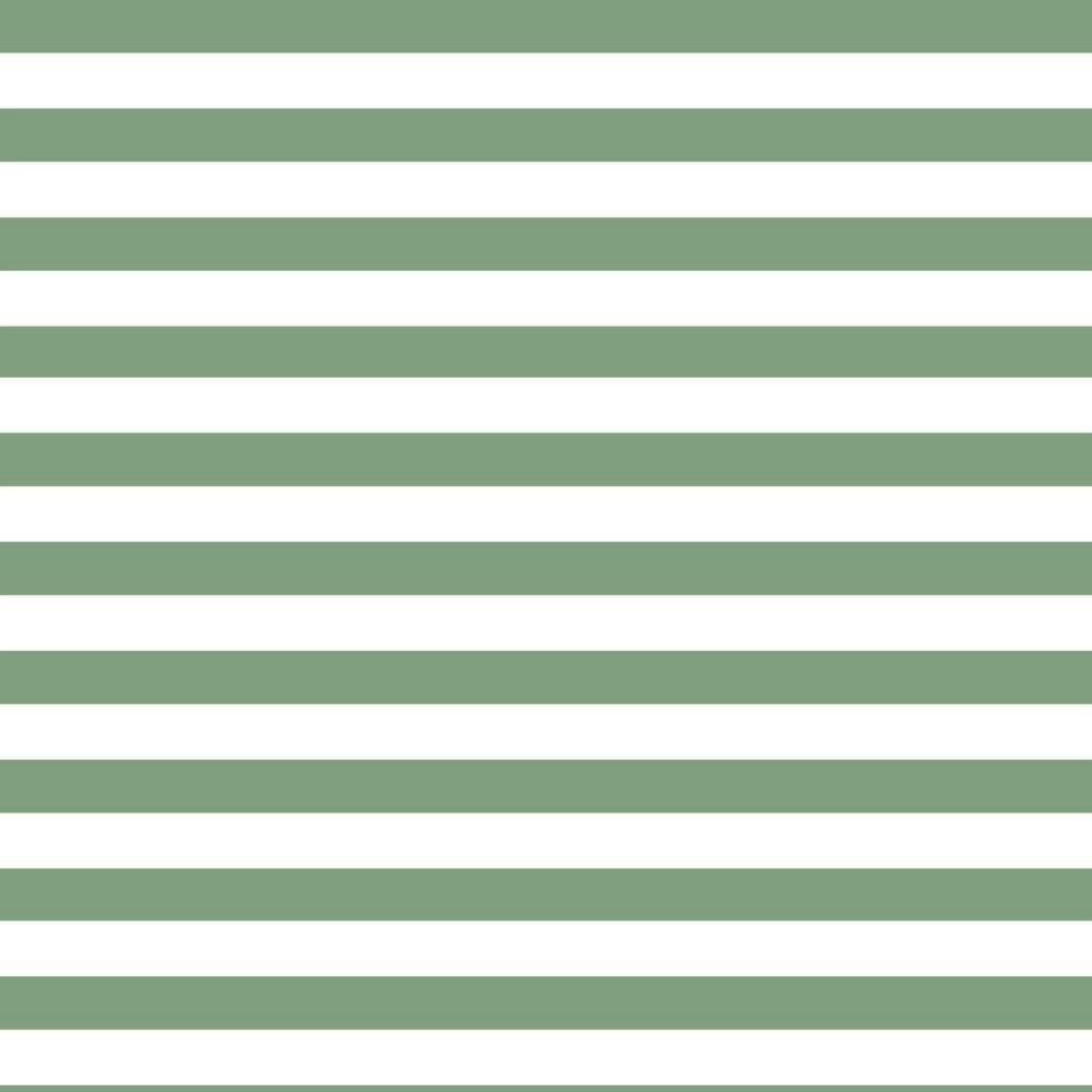 Cotton Jersey Fabric Stripe Mint 