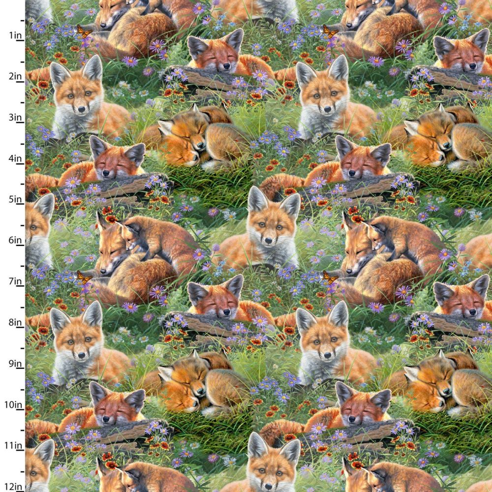 3 Wishes Cotton Fabric Mountain Sunrise Sleepy Foxes