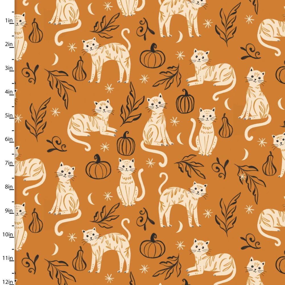 3 Wishes To Cute To Spook Cotton Fabric Cutsie Cats