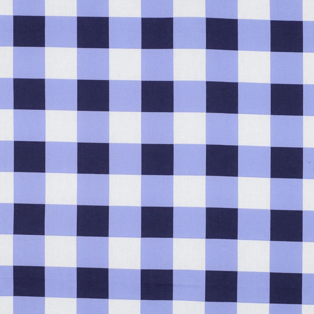 Coated Cotton Check Blue